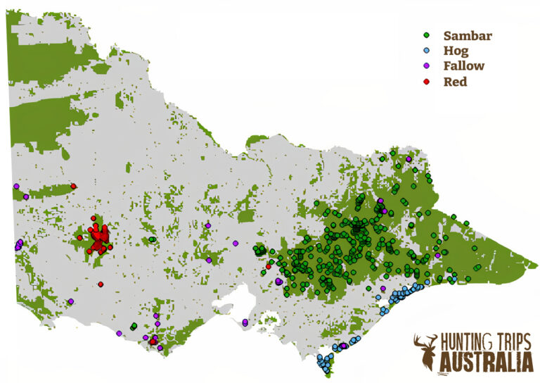 Deer Hunting Victoria Guided Deer Hunts, Deer Safaris & Deer Courses